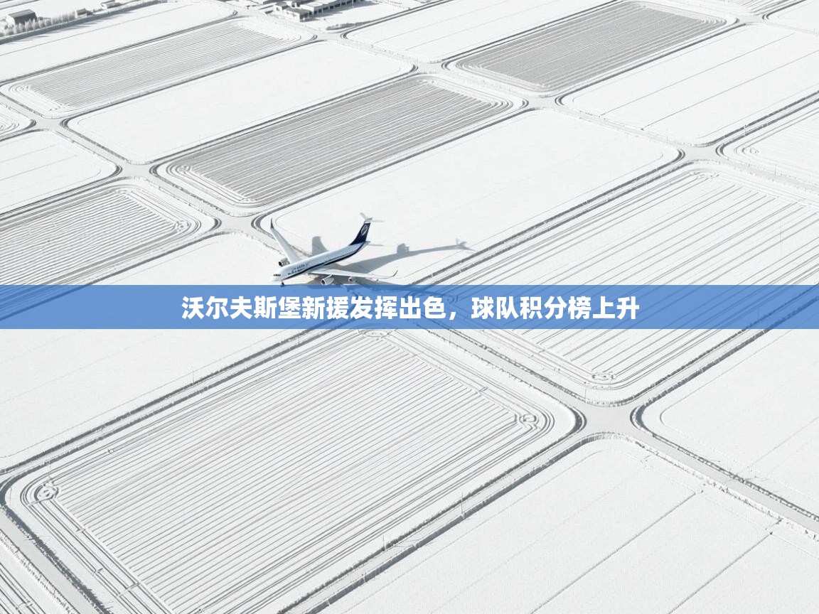 沃尔夫斯堡新援发挥出色，球队积分榜上升  第1张