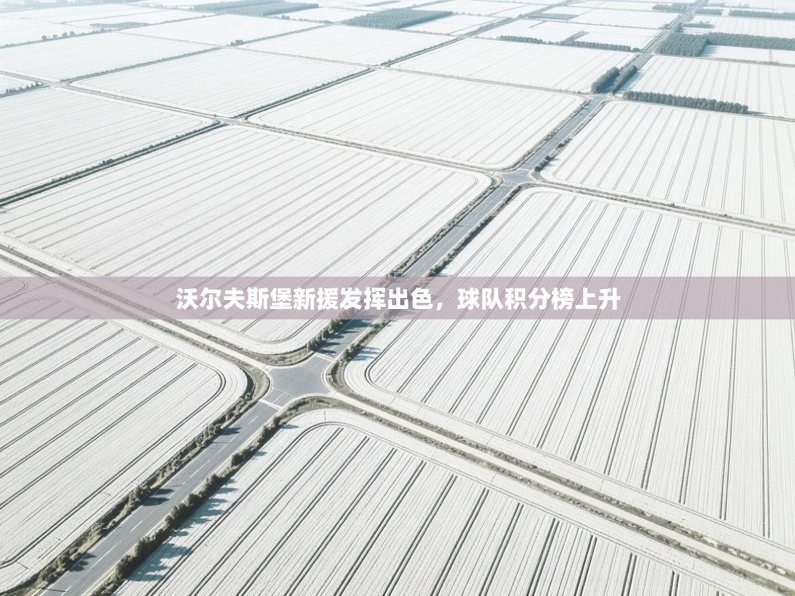 沃尔夫斯堡新援发挥出色，球队积分榜上升  第2张